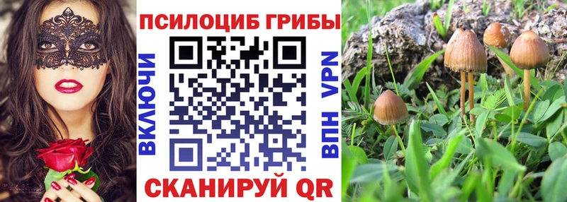 Купить  Сарапул  Псилоцибиновые грибы прущие грибы 