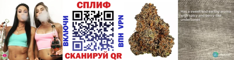 Купить  Сарапул  Марихуана VHQ 